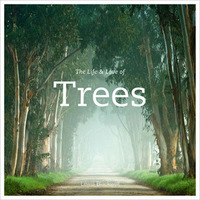 The Life & Love of Trees by Lewis Blackwell