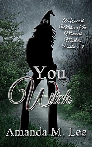 You Witch by Amanda M. Lee