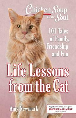 Chicken Soup for the Soul: Life Lessons from the Cat: 101 Tales of Family, Friendship and Fun by Amy Newmark