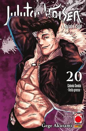 Jujutsu Kaisen. Sorcery Fight, Volume 20 by Gege Akutami