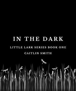 In The Dark: Little Lark Series Book One by Caitlin Smith
