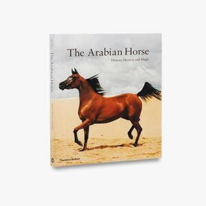 The Arabian Horse by Hossein Amirsadeghi