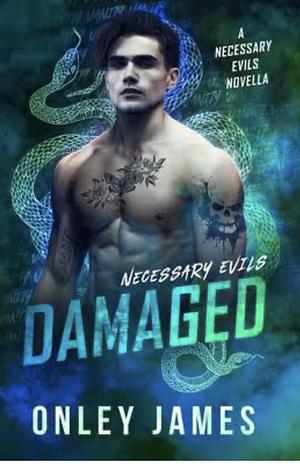 Damaged by Onley James