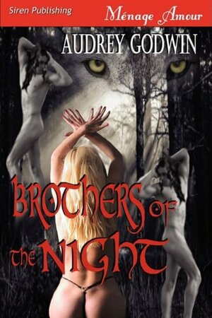 Brothers of the Night by Audrey Godwin
