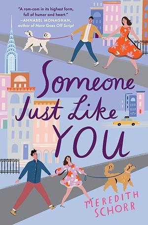 Someone Just Like You by Meredith Schorr