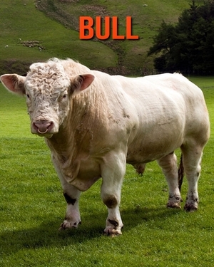 Bull: Learn About Bull and Enjoy Colorful Pictures by Diane Jackson