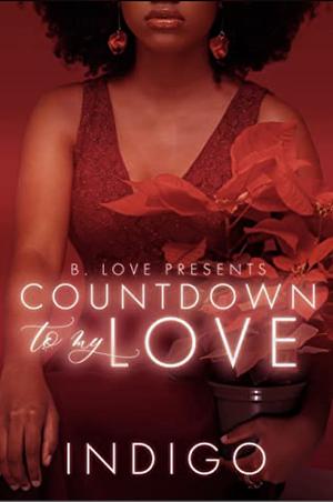 Countdown to My Love by Indigo