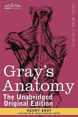 Gray's Anatomy: Descriptive and Surgical by Henry Gray