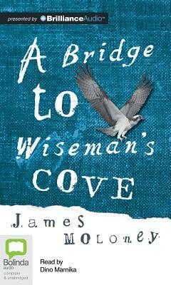 A Bridge to Wiseman's Cove by James Moloney