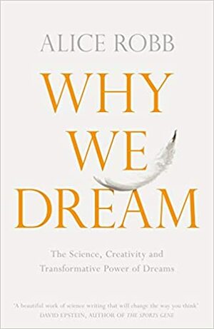 Why We Dream: The Science, Creativity and Transformative Power of Dreams by Alice Robb