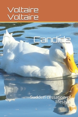 Candide: Sudden cessation of lifestyle by Voltaire