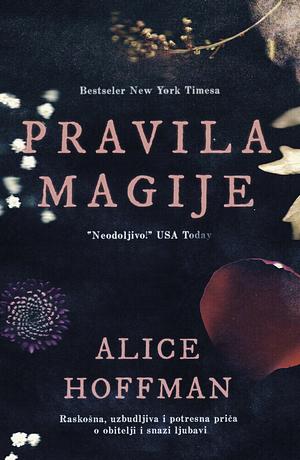 Pravila magije by Alice Hoffman