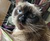 batkat_reads's profile picture