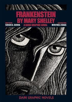 Frankenstein by Mary Shelley: A Dark Graphic Novel by Sergio A. Sierra, Sergio A. Sierra