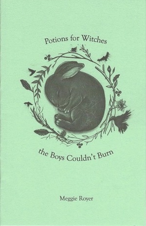 Potions for Witches the Boys Couldn't Burn by Meggie Royer
