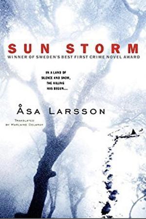 Sun Storm by Åsa Larsson