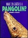What on Earth Is a Pangolin? by Edward R. Ricciuti