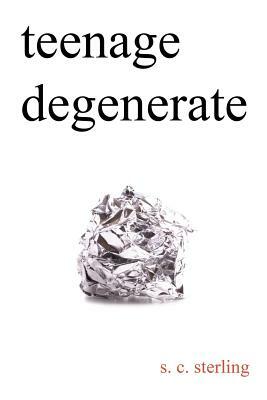 Teenage Degenerate: A Memoir that Explores the Depths of Methamphetamine and Drug Addiction by S. C. Sterling