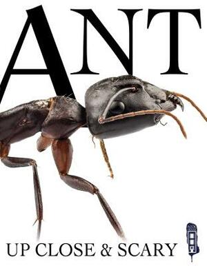 Ant by David Miller