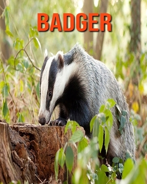 Badger: Incredible Pictures and Fun Facts about Badger by William Doyle