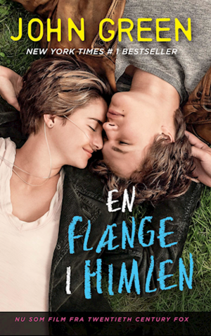 En flænge i himlen by John Green