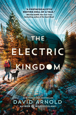 The Electric Kingdom by David Arnold