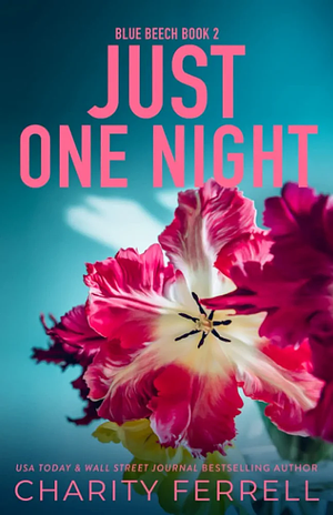 Just One Night by Charity Ferrell