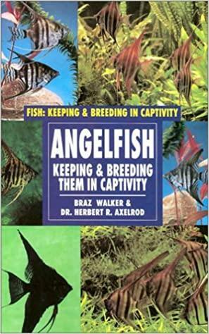 Angelfish by Braz Walker, Herbert R. Axelrod