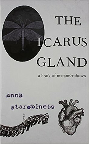 The Icarus Gland by Anna Starobinets