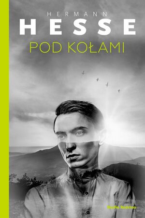 Pod kołami by Hermann Hesse