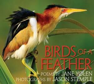 Birds of a Feather by Jane Yolen, Donald E. Kroodsma, Jason Stemple