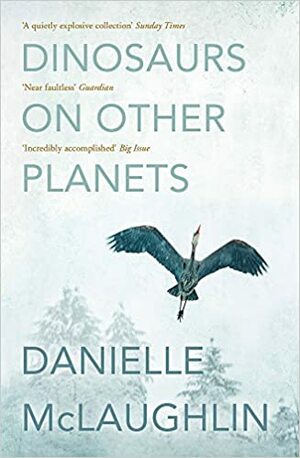 Dinosaurs on Other Planets by Danielle McLaughlin