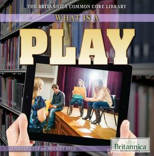 What Is a Play? by Jennifer Culp