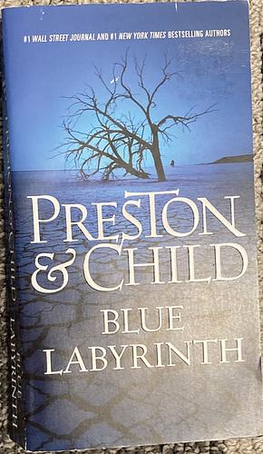 Blue Labyrinth by Douglas Preston