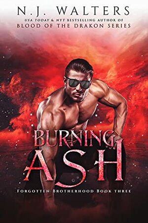 Burning Ash by N.J. Walters