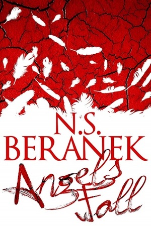 Angels Fall by N.S. Beranek