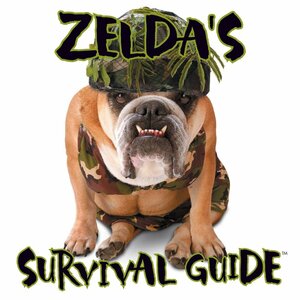 Zelda's Survival Guide by Carol Gardner, Shane Young