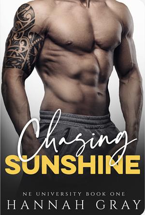 Chasing Sunshine by Hannah Gray