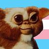 basedgizmo's profile picture