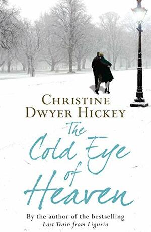 The Cold Eye of Heaven by Christine Dwyer Hickey