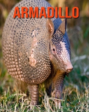 Armadillo: Learn About Armadillo and Enjoy Colorful Pictures by Diane Jackson
