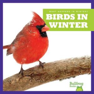 Birds in Winter by Jennifer Fretland VanVoorst