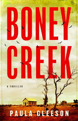 Boney Creek by Paula Gleeson