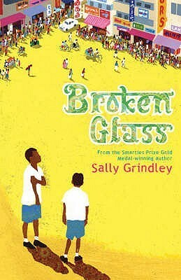 Broken Glass by Sally Grindley