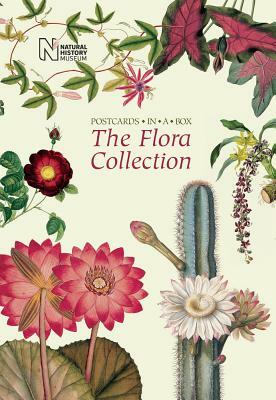 The Flora Collection: Postcards in a Box by Natural History Museum