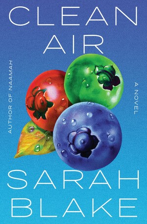Clean Air by Sarah Blake
