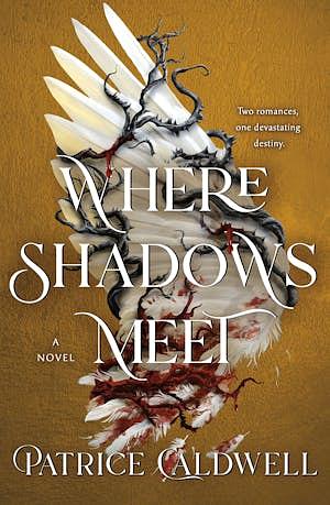 Where Shadows Meet: A Novel by Patrice Caldwell