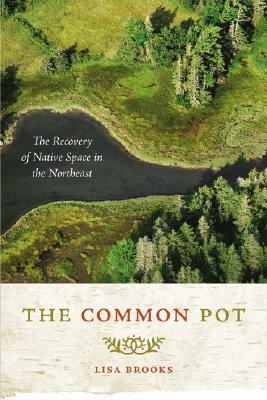 The Common Pot: The Recovery of Native Space in the Northeast by Lisa Brooks