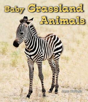 Baby Grassland Animals by Jane Katirgis