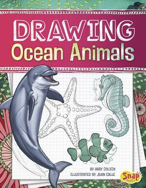 Drawing Ocean Animals by Abby Colich